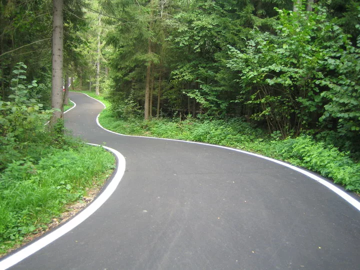 Зелёный коридор - так выглядит 60% трассы