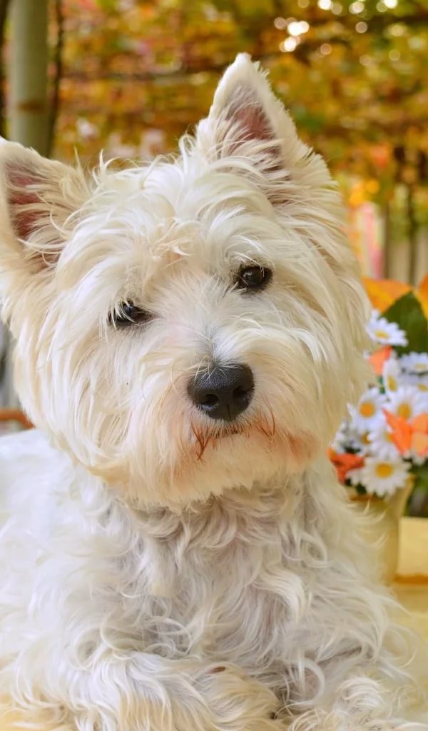 Фото из свободных источников 