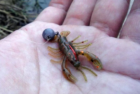 Источник фото ribak.ne часто ловлю на чёрные цвета