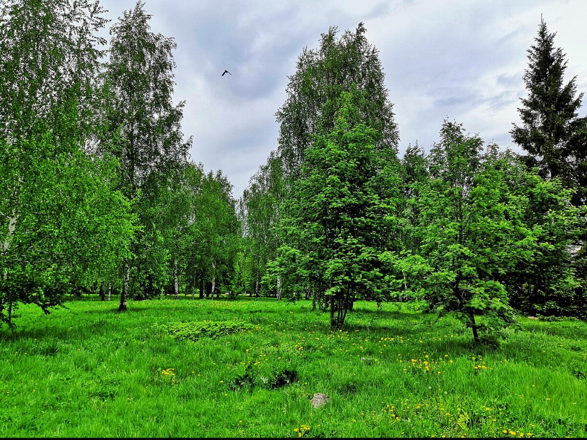Моя майская фотография, 2020 года. Здесь 4 фотографии, можно нажать на флажок в правой части фото и посмотреть другие фотографии. Все фото кликабельны, нажав мышью на фото можете рассмотреть его детально.