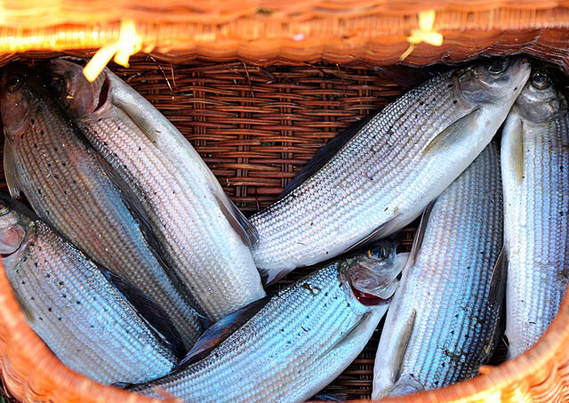 фото Закир Умаров