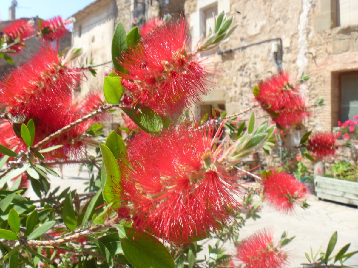 Личные впечатления об Испании, неожиданные и всякие