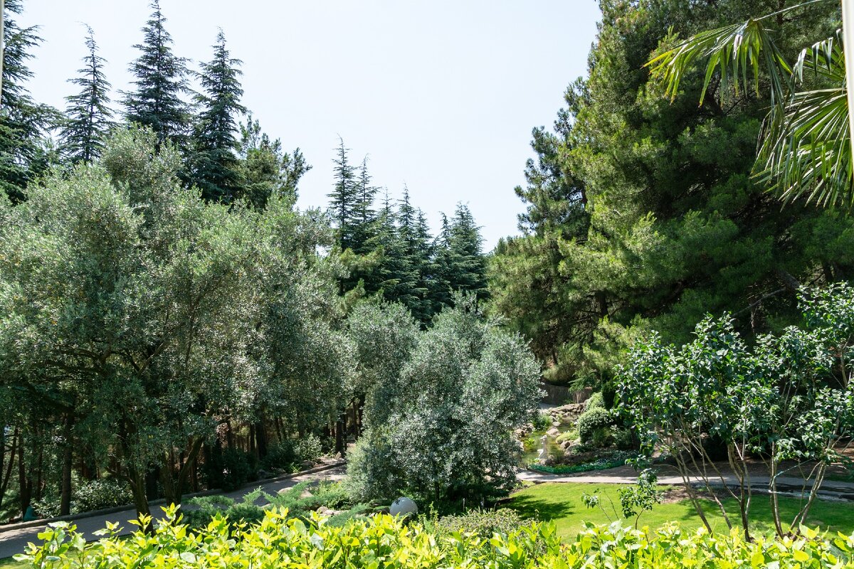 2. Вид в сторону центра парка.