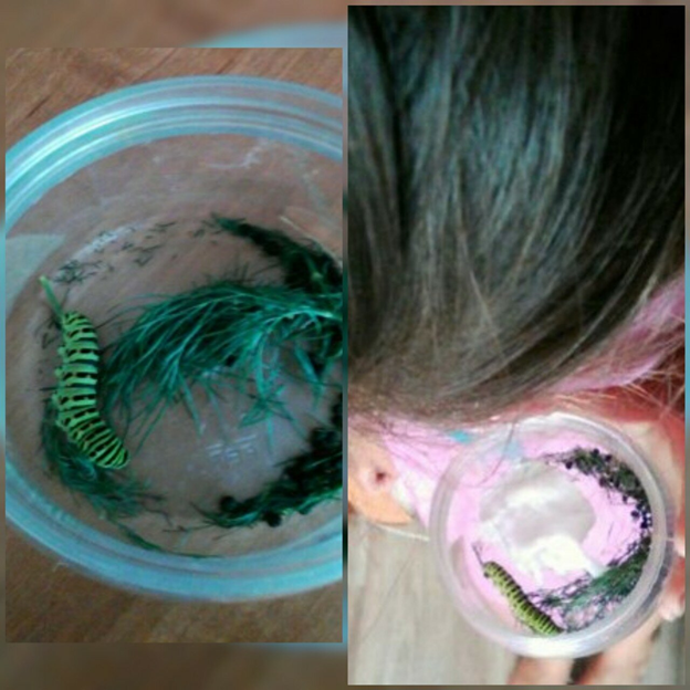 Только с грядки укропа))