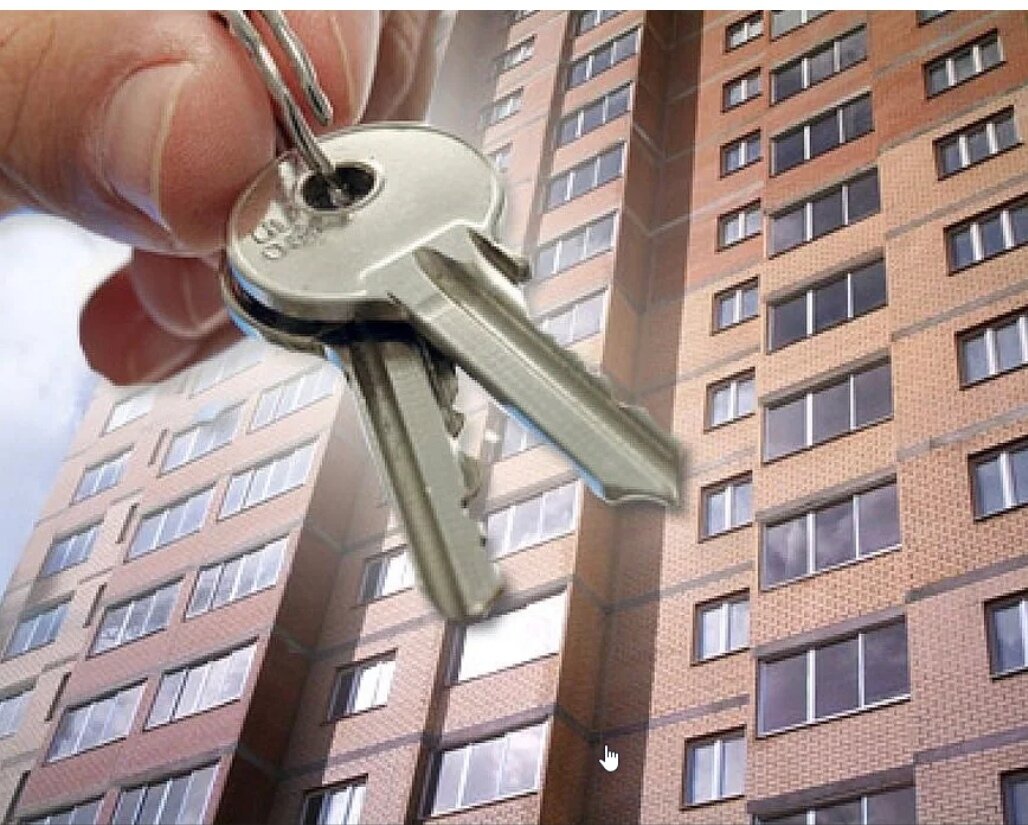 фото взято из интернета