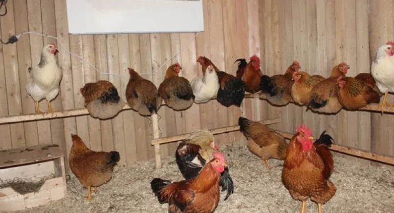 Фотография взята из источника c-pravda.ru