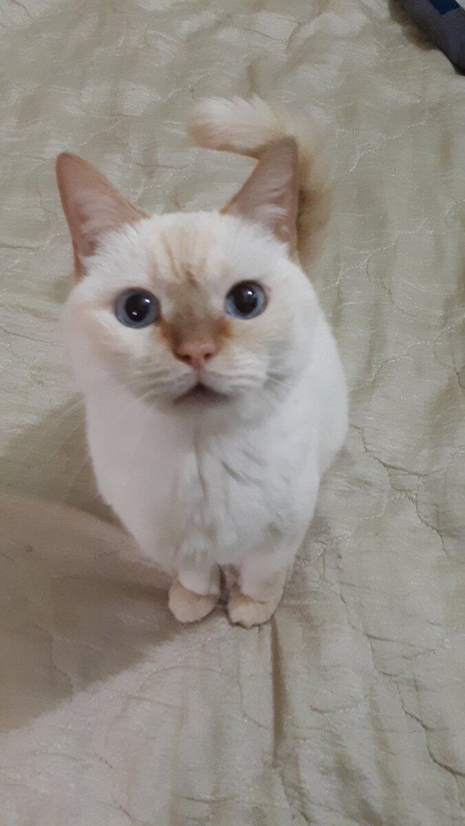 А у вас вызвались угрызения? Если нет - вы бесчувственный человек!