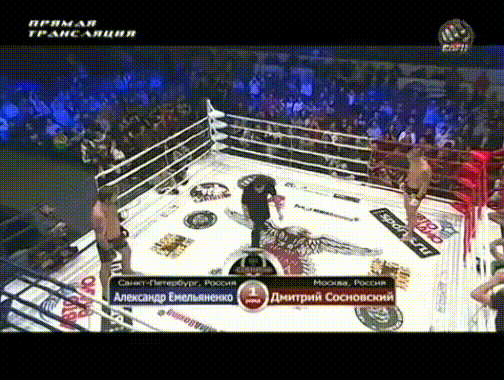 Сосновский переводит Емельяненко в партер