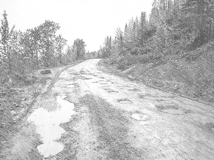 Дорога в лесу.