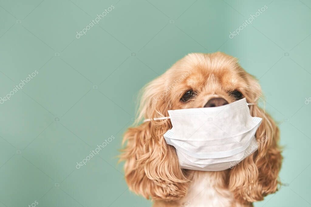 Почти как этот.