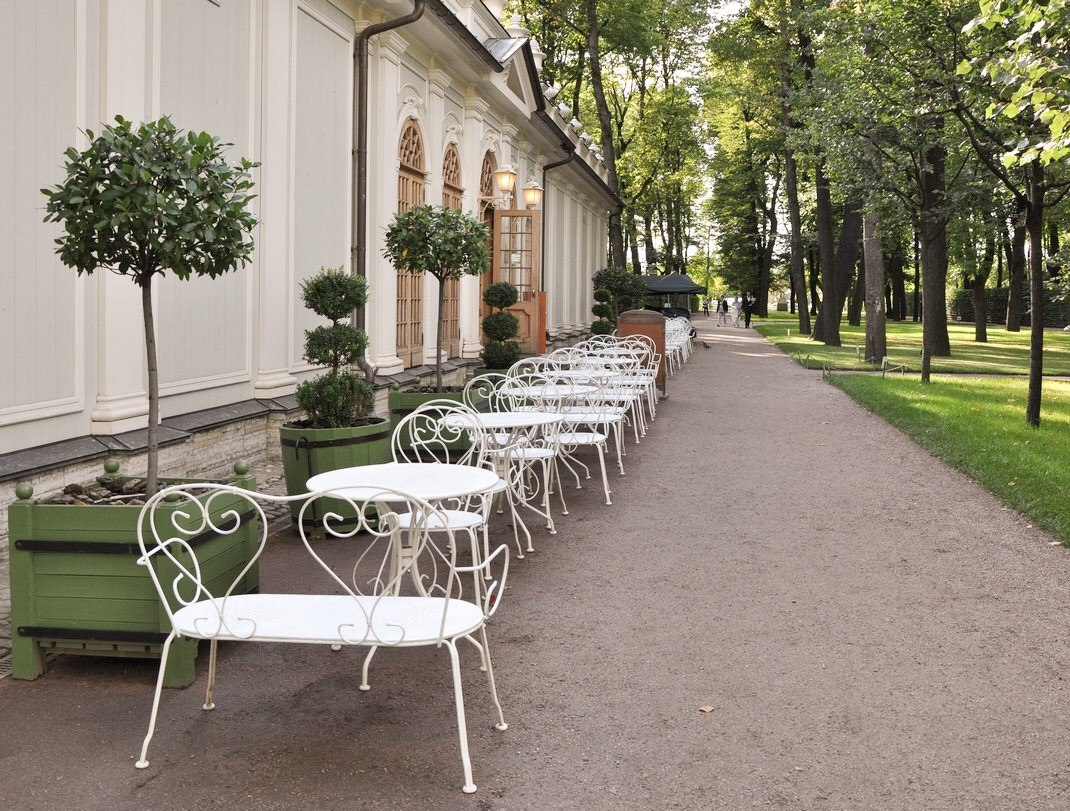 Фото: яндекс.картинки