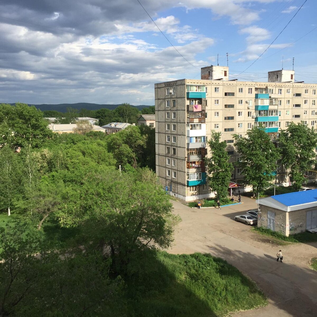 Фотография сделана автором статьи