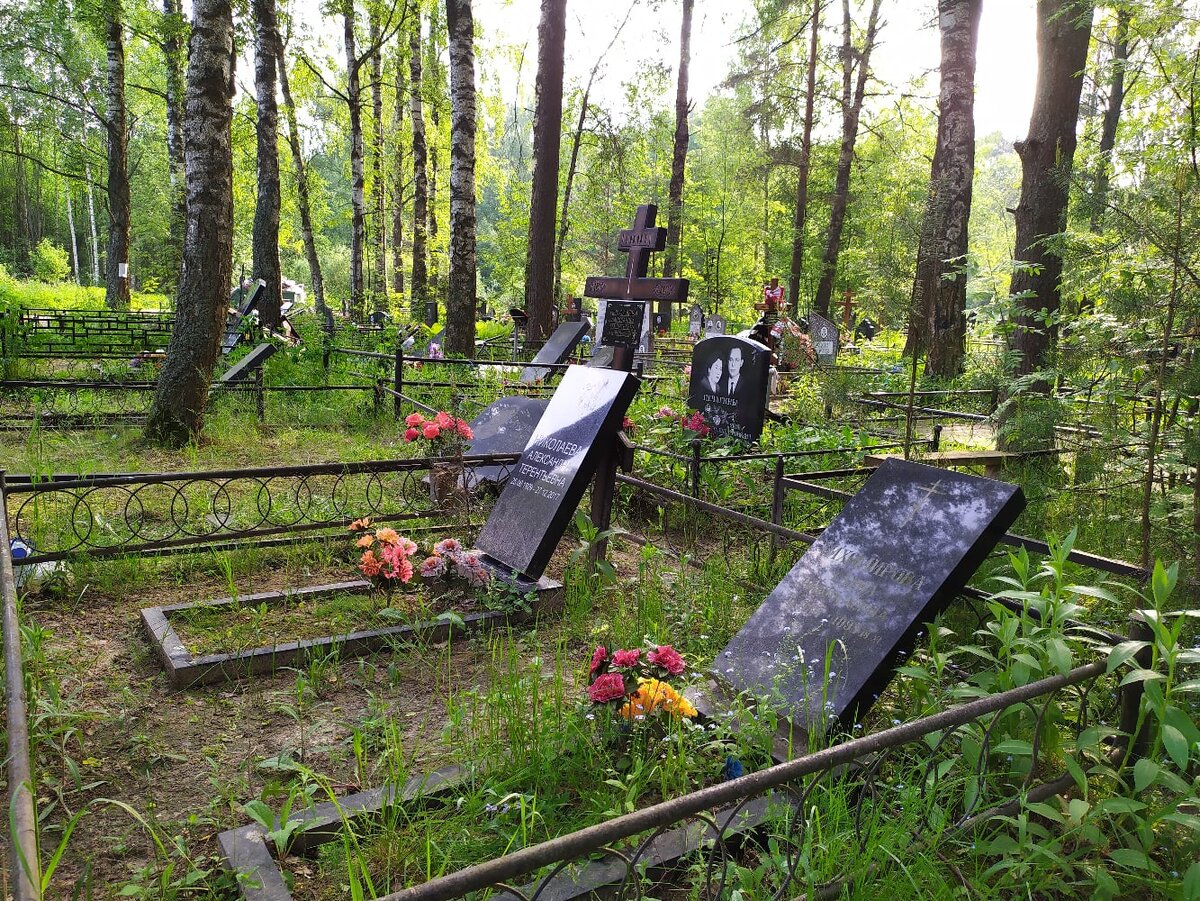 Фото: ВК Редкино