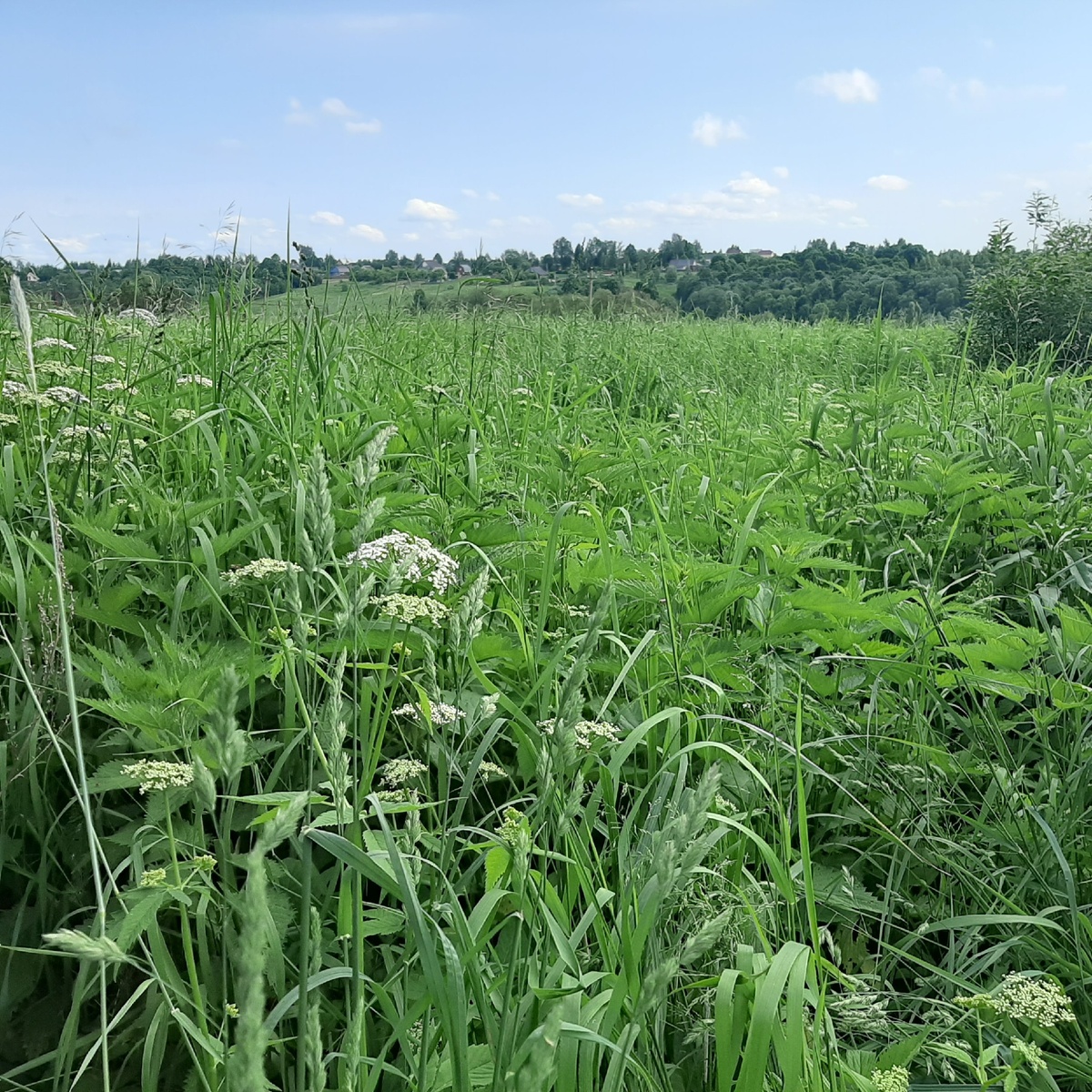 Все  фото автора