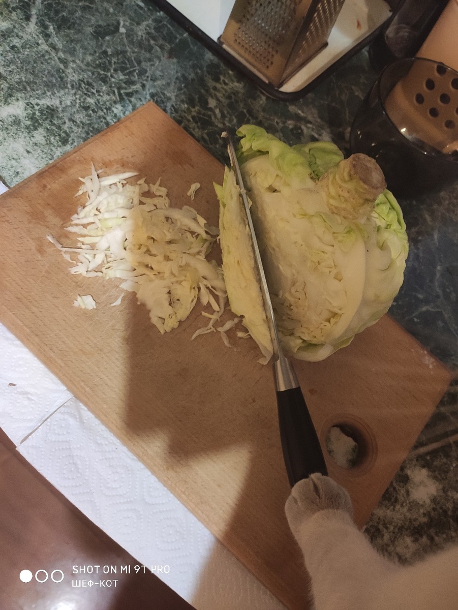 Самые умелые лапки.
