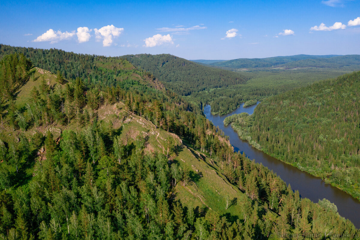 Сибирская Тайга Новосибирск