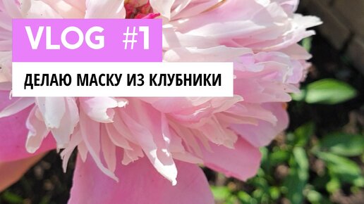 Моя любимая летняя маска для лица из клубники, которая делает кожу ухоженной и здоровой. Делюсь рецептом