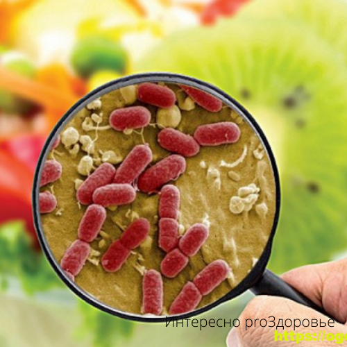 Пищевое отравление от микроорганизмов, находящихся на немытых фруктах