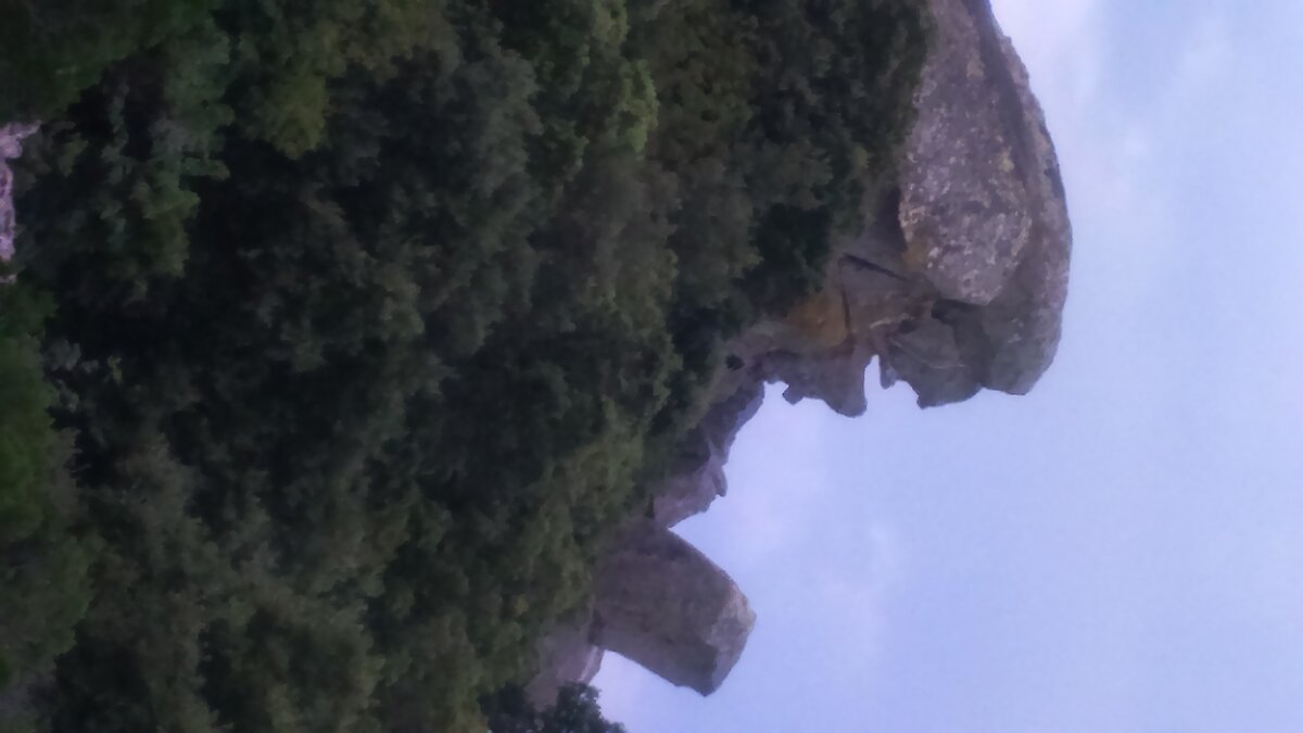 Стиль жизни молчаливого приятеля