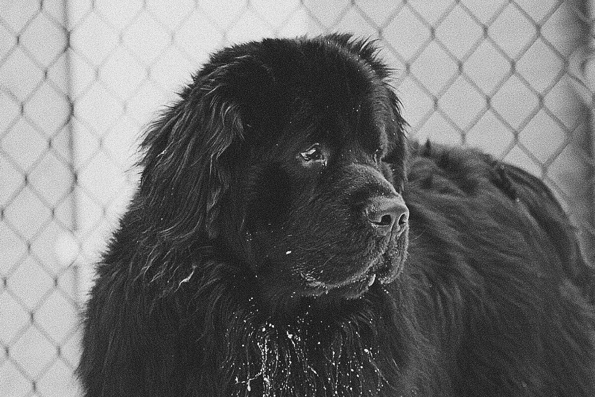 «Современник» — такой же массивный и всегда готов работать!