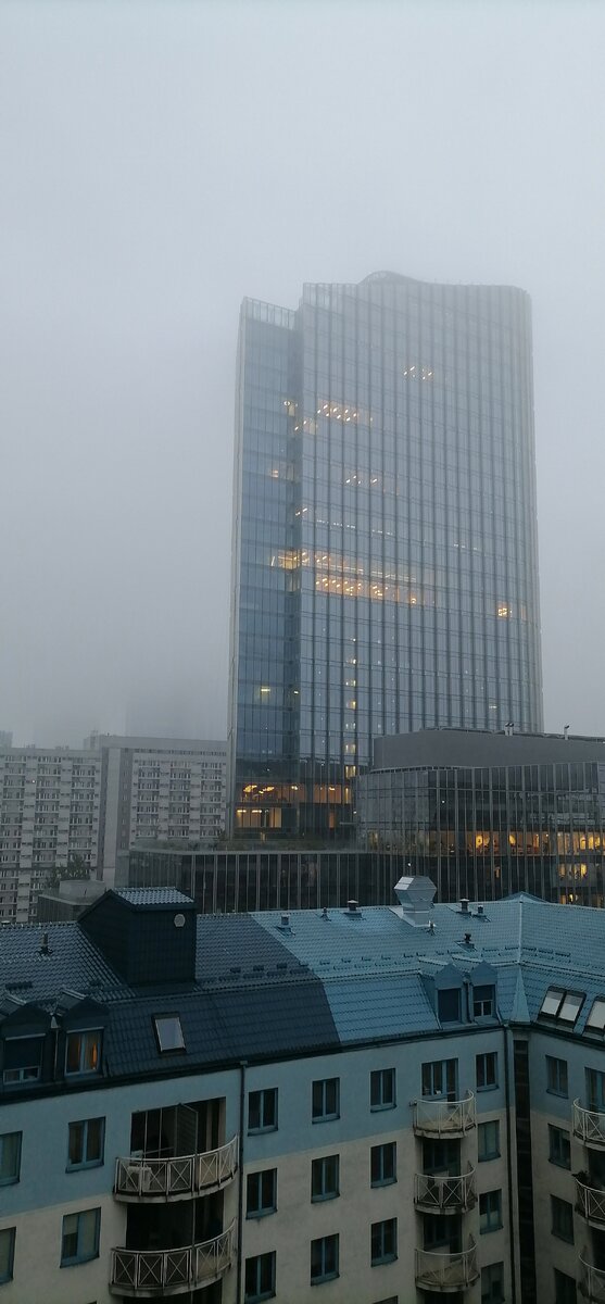 Фото сделано мной. Утро туманное 