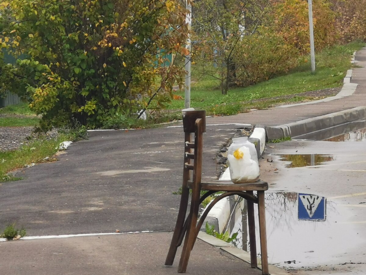 Иногда на деревенской улице можно увидеть такую странную картину.