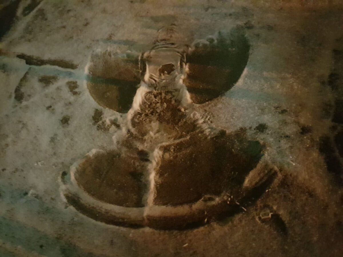 Кто угадает, что это?