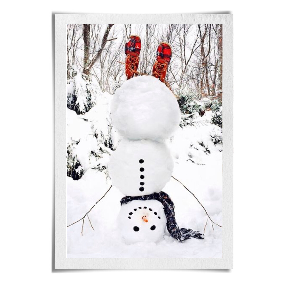 Фотография из свободного источника