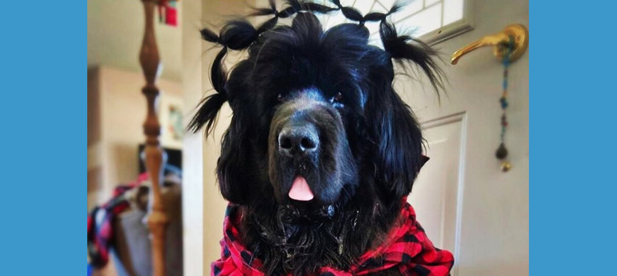 фото взято из интернета.