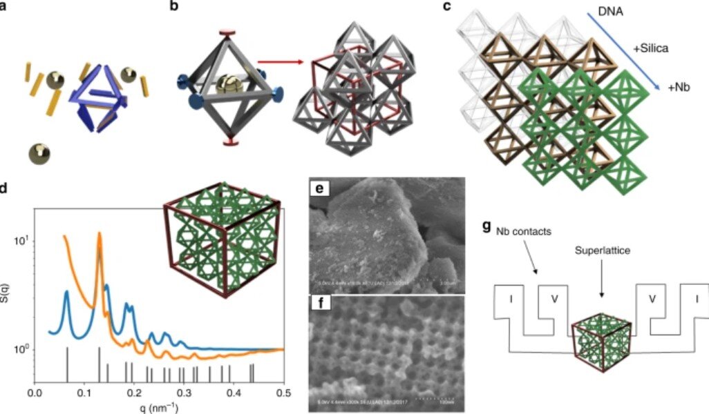 Схема сборки трехмерной сверхрешетки из октаэдрических рамок ДНК и наночастиц золота и ее преобразования в кремнезем и сверхпроводящую структуру.