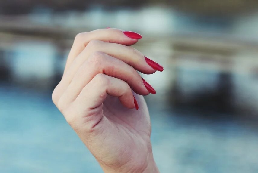 Фото: pixabay.com