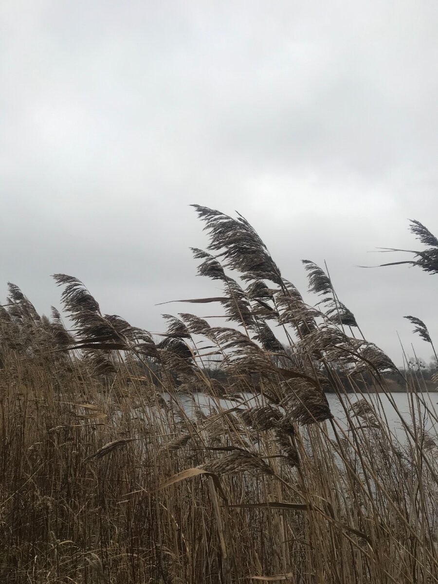 Триумфальное возвращение фотографий с пробежек)
