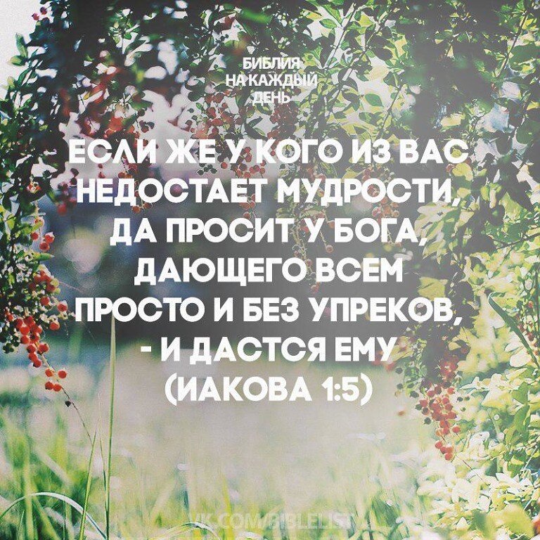 „Мудрая жена устраивает дом свой, а глупая разрушает его своими руками.“