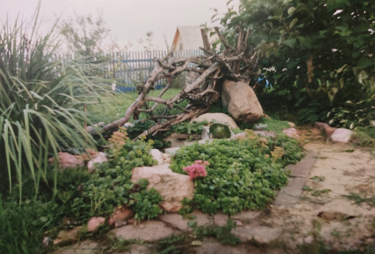 сначала коряга была такая большая