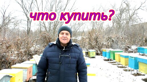 Что купить, - пчелопакет или пчелосемью?