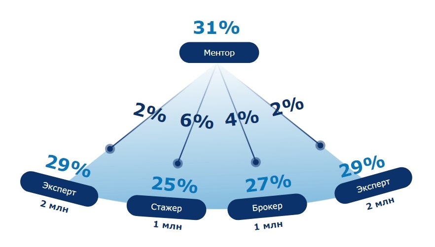 Схема распределения прибыли с сети