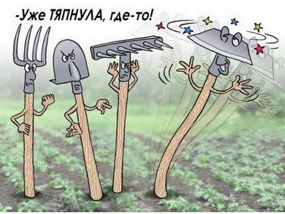 Картинки с юмором про огород и дачу