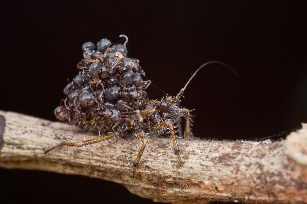 Типичная маршрутка утром в понедельник. 