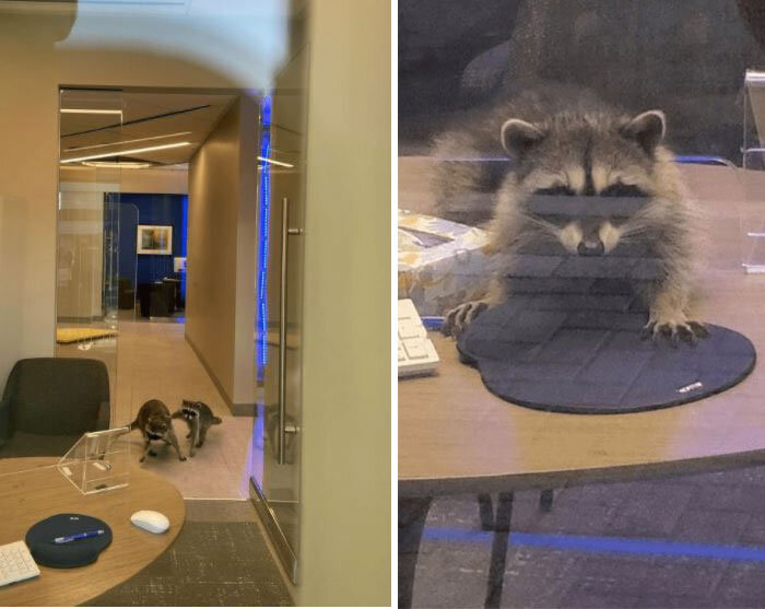 Источник: www.google.com