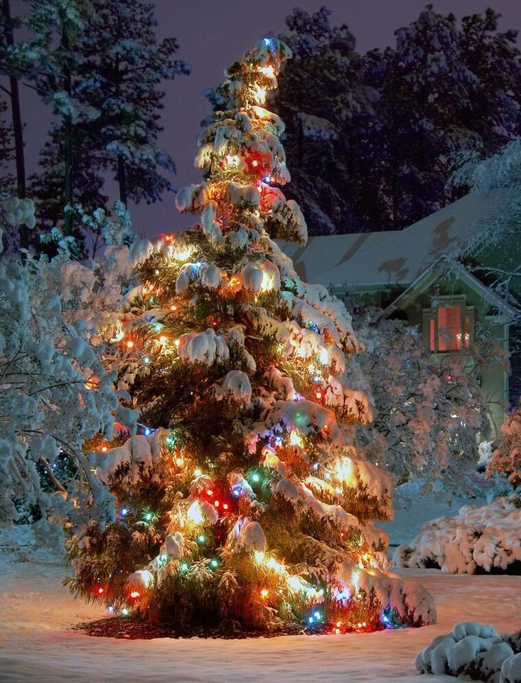 Фото из открытых источников