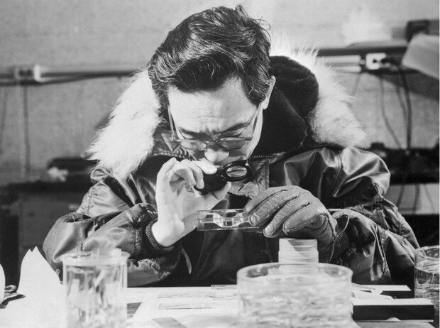 Ученый Укитиро Накая исследует образцы грунта, взятого на территориях вечной мерзлоты, Аляска, 1954 год