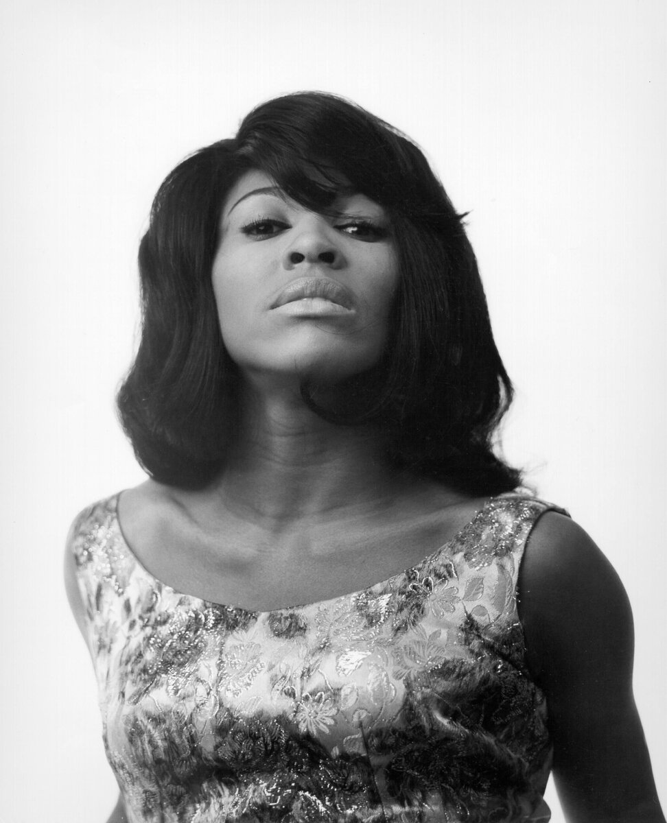 Тина Тернер (Tina Turner) 