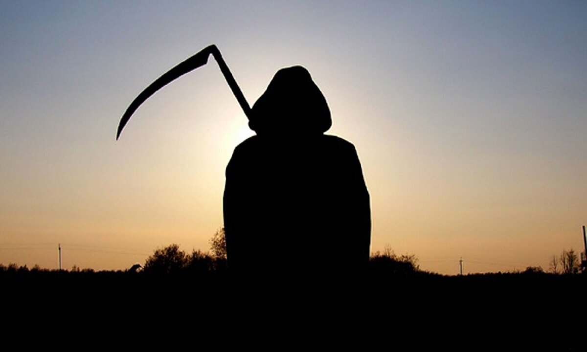 Фото с просторов интернета