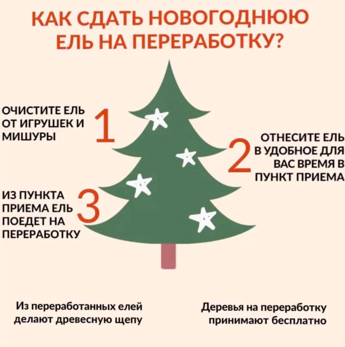 Как подготовить  ёлки в переработку