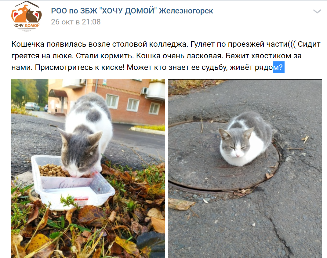 объявление в группе