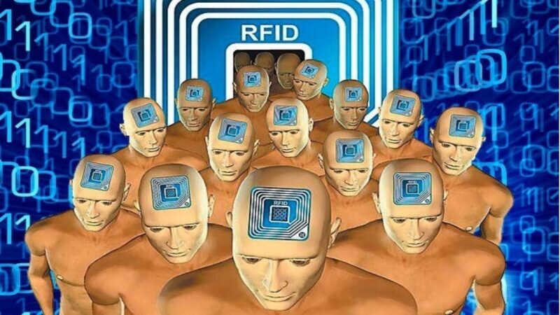 Яндекс картинки