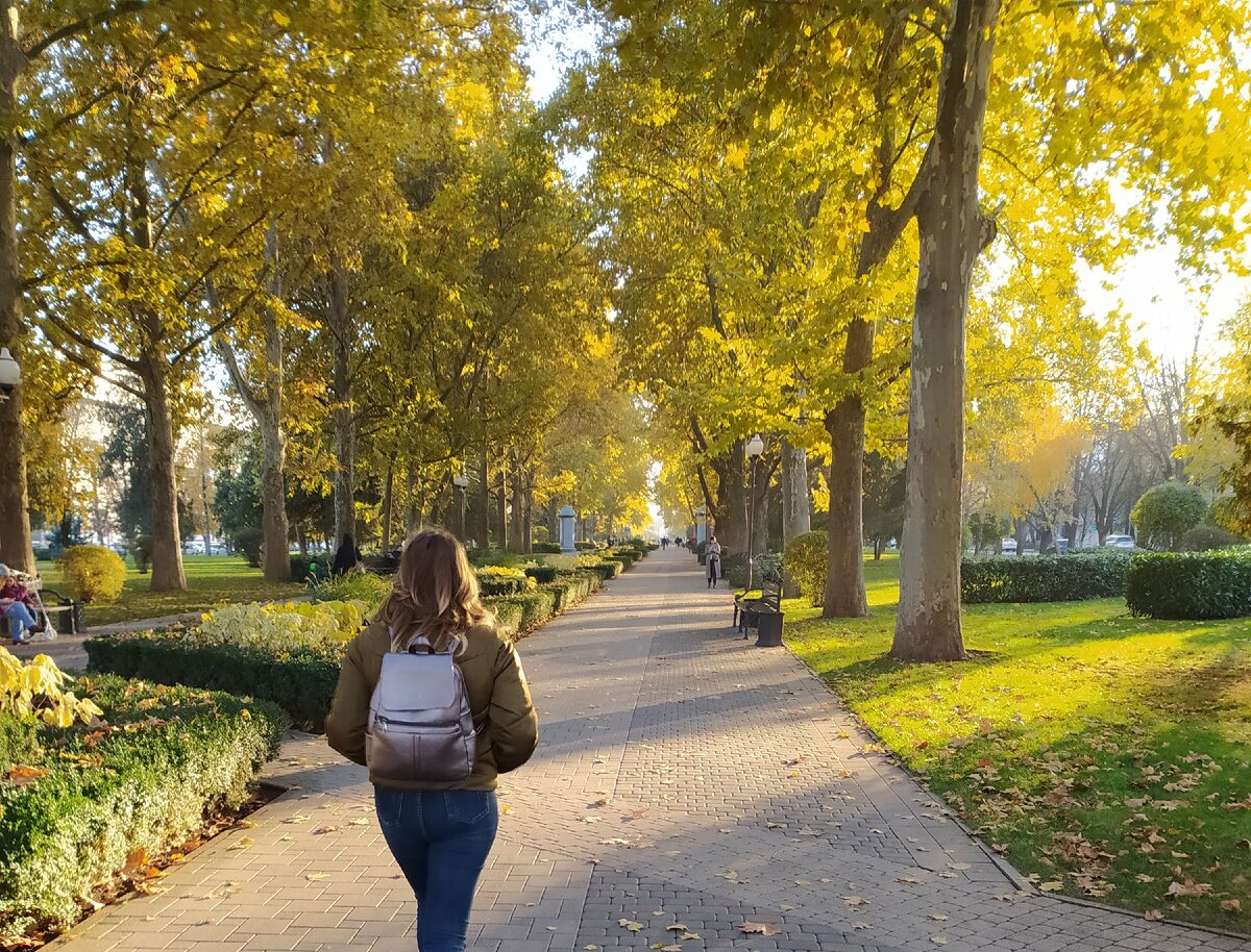 Шикарная природа. Центральная аллея города. Первая прогулка по городу.