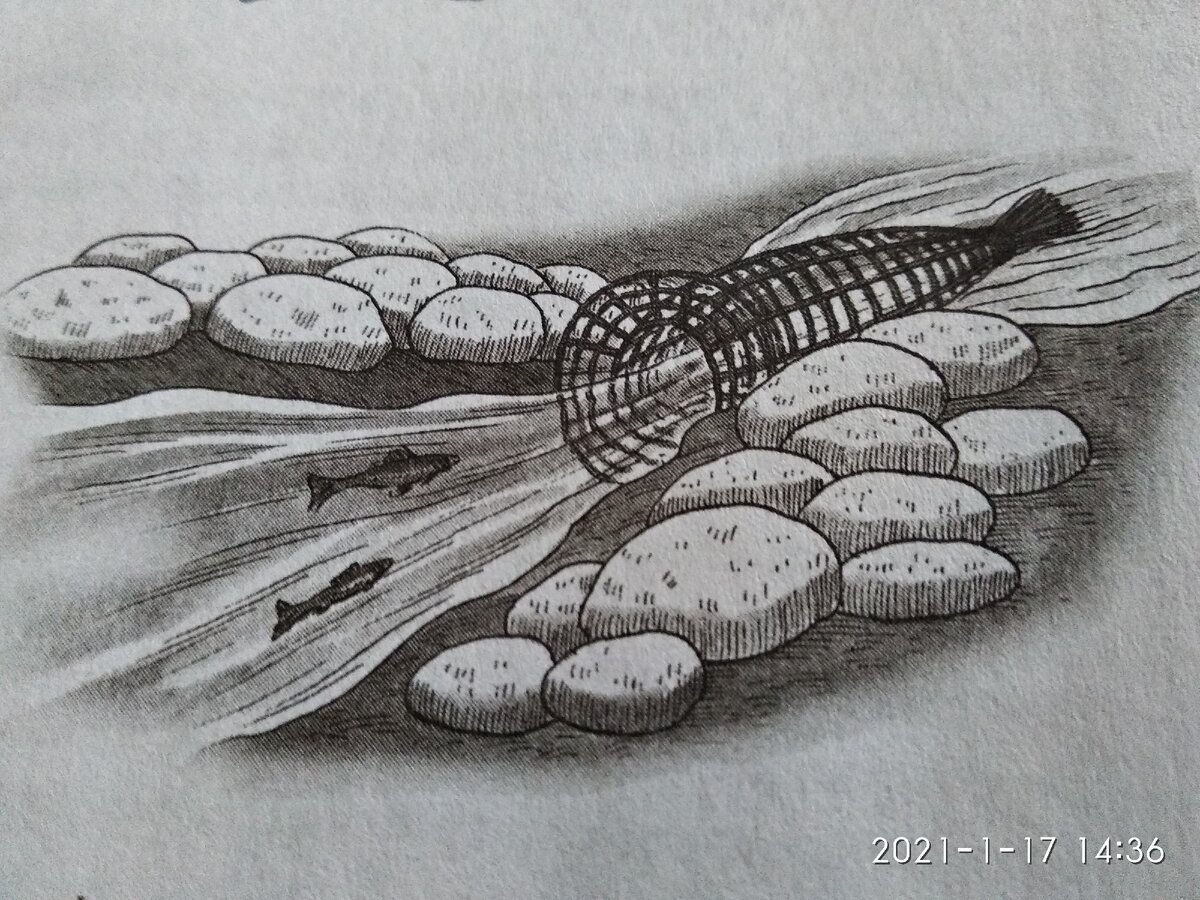 Вот как ловят рыбу