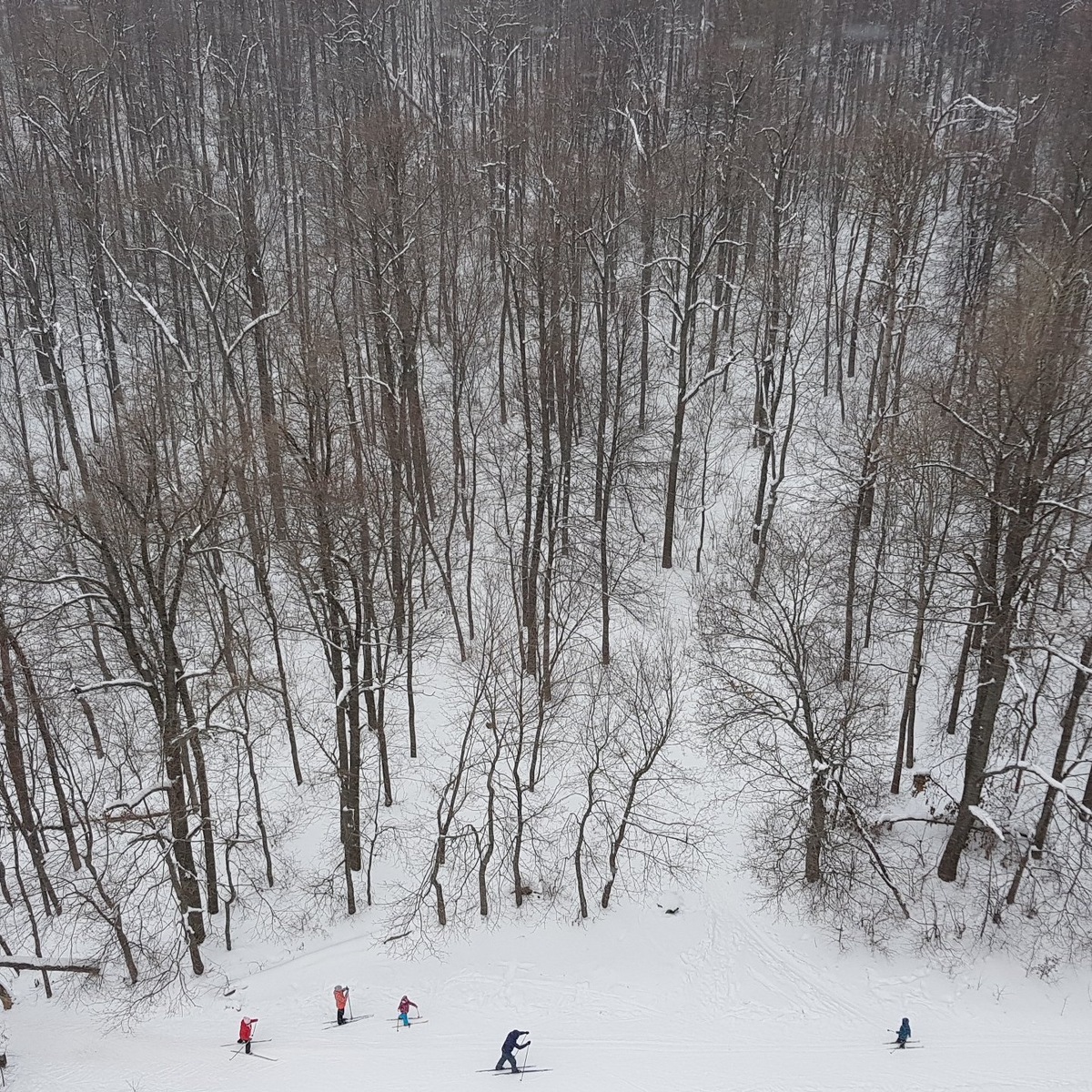 ЖК "Ясная Поляна". Все планировки и цены на сайте yasno21.ru