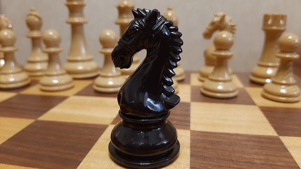 Ладья и конь шахматы